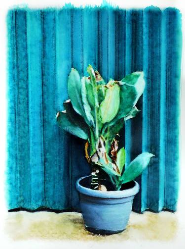 blue-green thumb