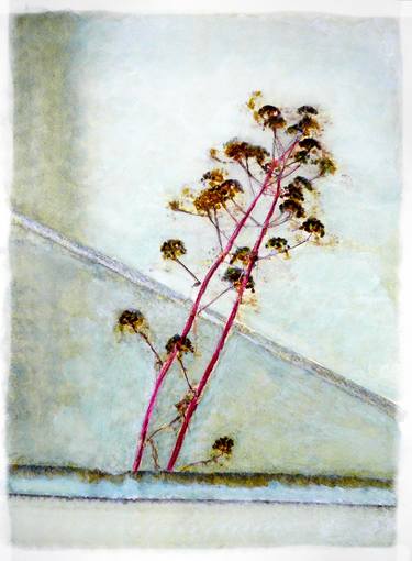 Print of Minimalism Botanic Paintings by Sinisa Alujevic