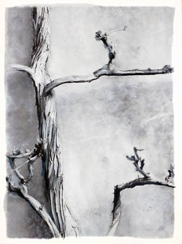 Original Minimalism Tree Paintings by Sinisa Alujevic