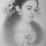 Collection Drawing