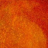 Red Yellow Salience Landscape by Olga Akasi