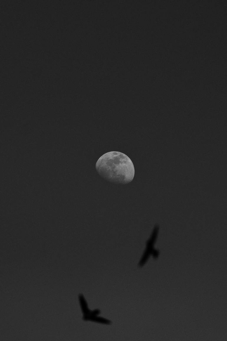 Original Nature Photography by Fx Tommy Sebastian | Minimalism Art on Paper | Fly Me to the Moon