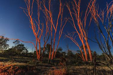 Wimmera Nights thumb