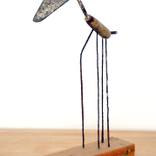 short-necked giraffe by Oriol Cabrero