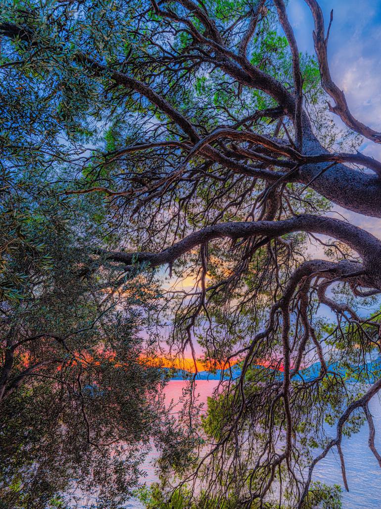 Original Landscape Photography by Natalya Vladi | Contemporary Art on Acrylic | The Hidden Sunset