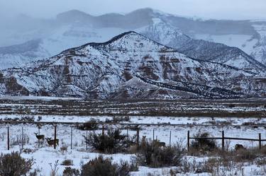 A magical Colorado winter scene - Limited Edition of 1 thumb