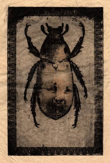 Original Animal Printmaking by benjamin parker