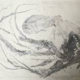 Martyr with explanation VII by benjamin parker