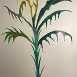 Collection "New flowers/New times (I)"dedicated to Alberto Giacometti (2025)