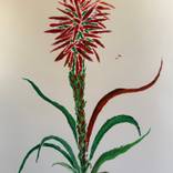 Collection "New flowers/New times (I)"dedicated to Alberto Giacometti (2025)