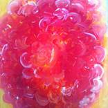 Collection LISBOA EXHIBITION "New flowers / Old flowers" (2025)