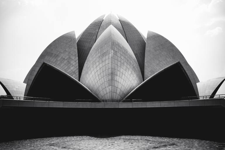 Black lotus Photography by ERNEST Sebastien Saatchi Art