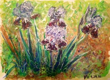 Irises - Spring in Prospect park - 04-29-16 thumb