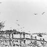 view additional image 1