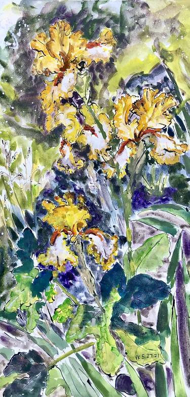 Yellow irises thumb