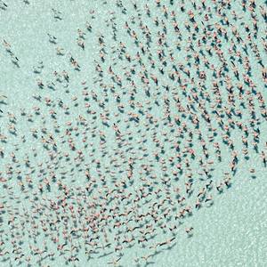Collection Beach Prints