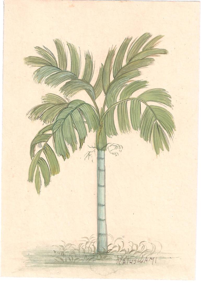 Original Nature Painting by Mukesh Swami  Illustration Art on Paper  Palm Tree  Original Indian Miniature Painting