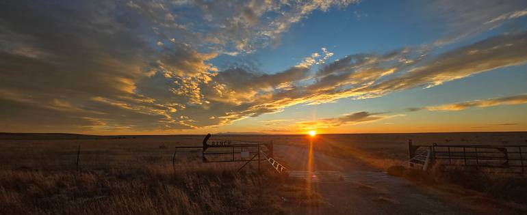 Original  Photography by christy crimmins garcia
