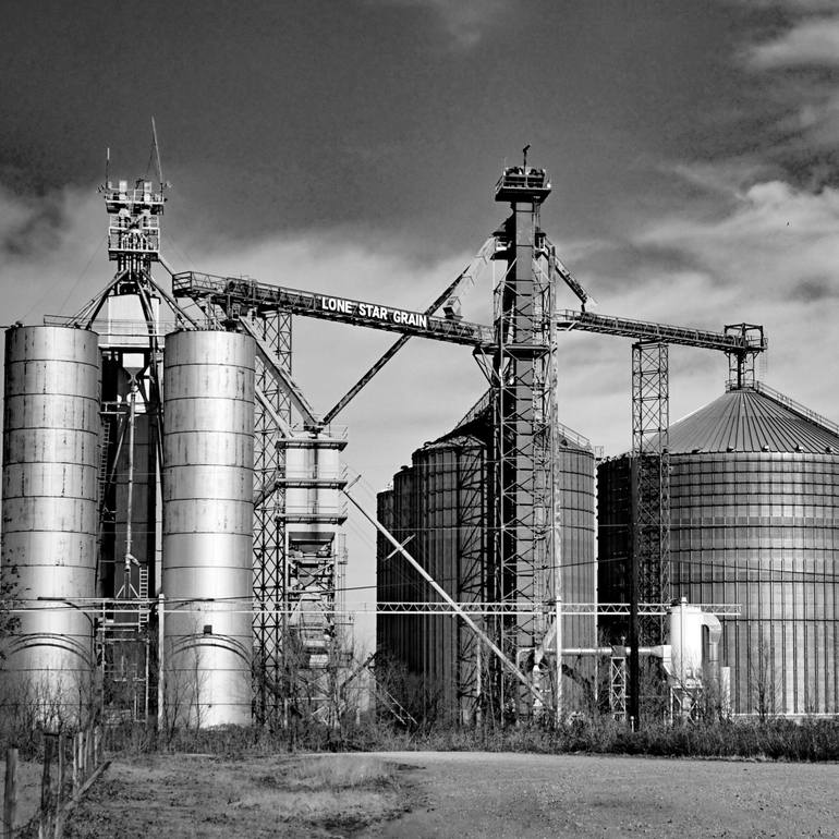 Original  Photography by christy crimmins garcia