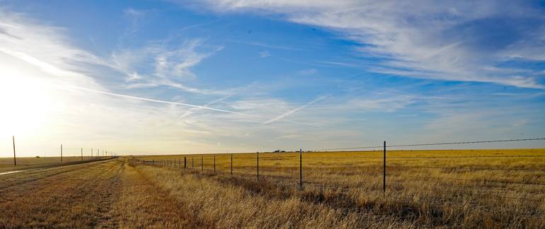 Original  Photography by christy crimmins garcia