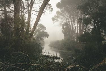 Print of Nature Photography by Louis de Jager Vorster