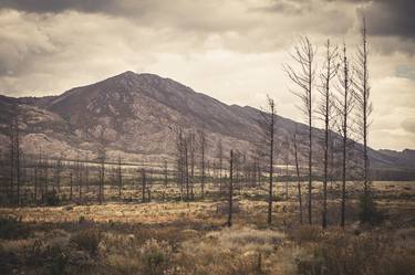 Print of Documentary Landscape Photography by Louis de Jager Vorster