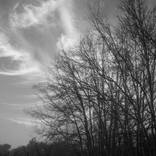 Collection Black & White