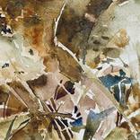 Nature by Liliana Miguel Sanz