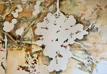 Original Nature Paintings by Liliana Miguel Sanz