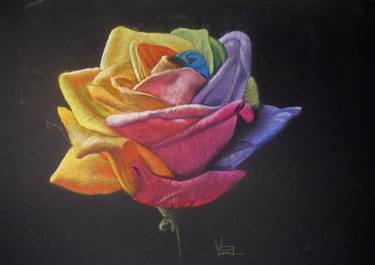 Rainbow Rose thumb