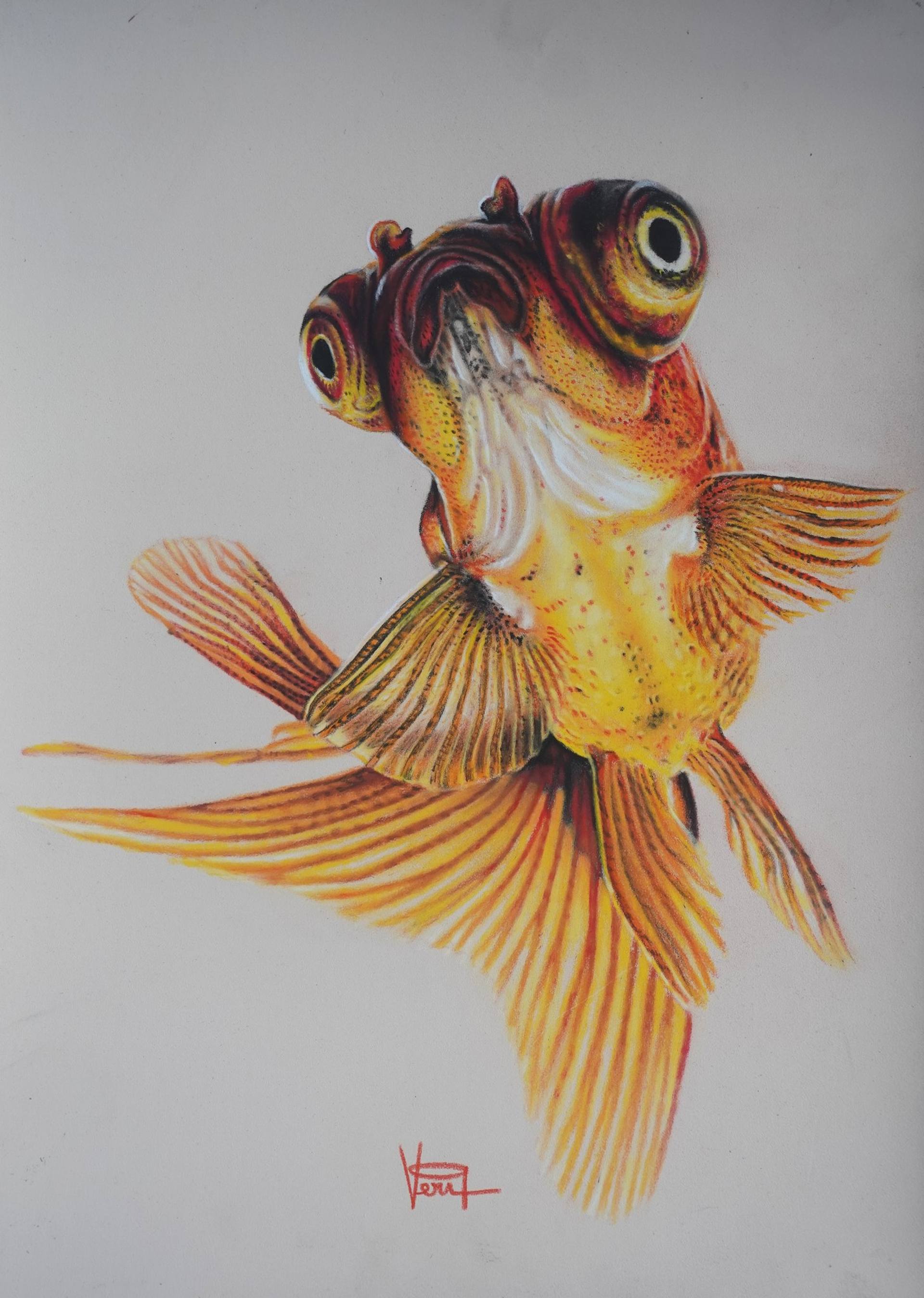 How To Draw A Realistic Goldfish