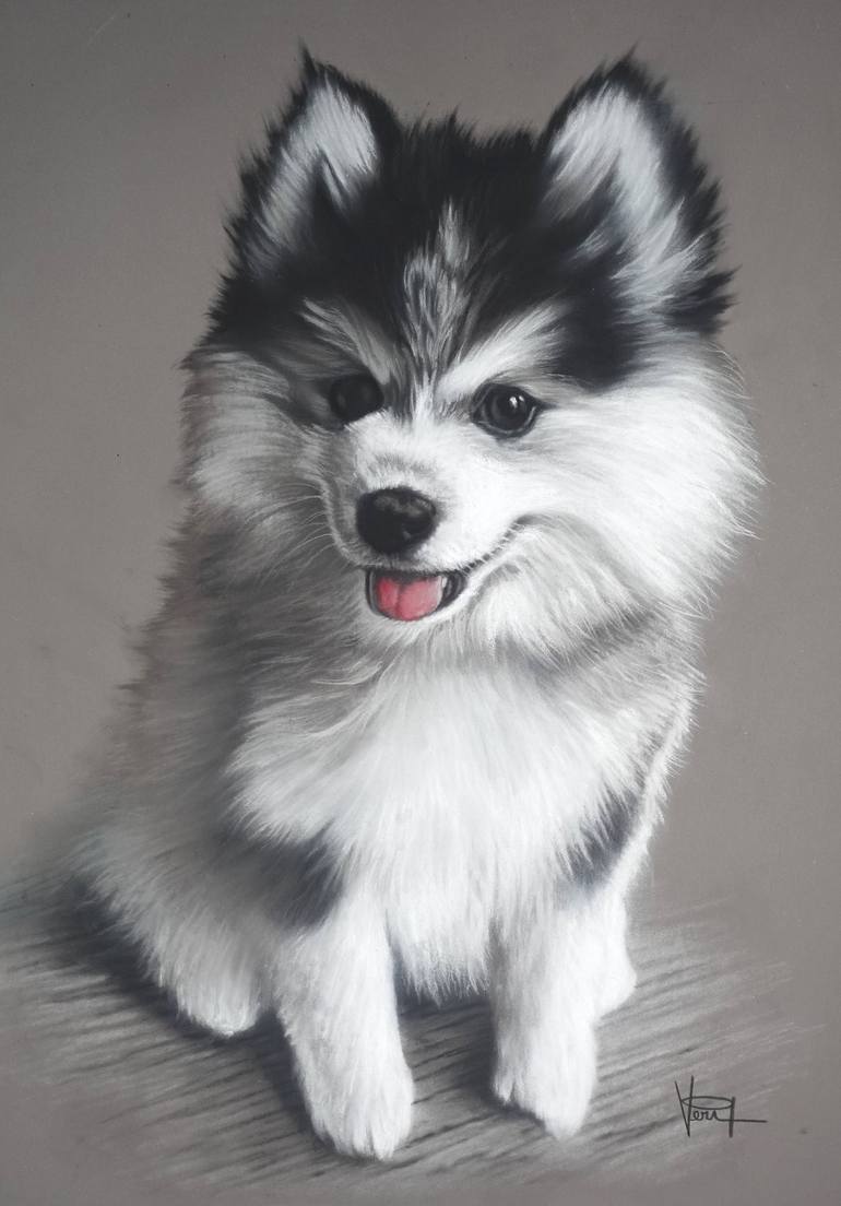cute husky drawing