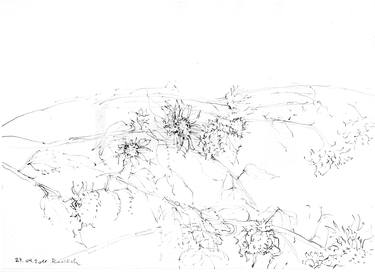 Print of Expressionism Nature Drawings by Ingrid Redlich-Pfund