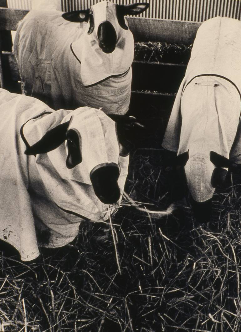 Original  Photography by sue devall