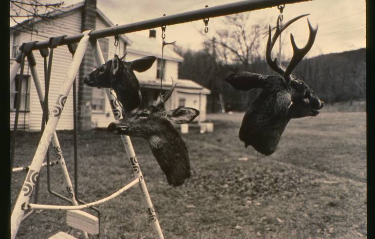 Original  Photography by sue devall