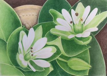 Original Figurative Botanic Paintings by Alberto Hitzfelder