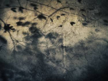 Original Aeroplane Photography by Kenneth Jackson