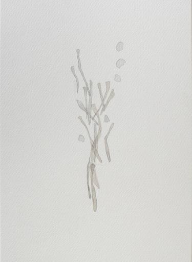 Original Abstract Nature Drawings by Gianna Scarpello