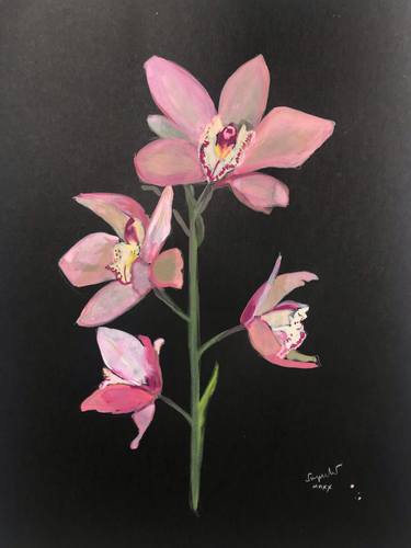 Pink cymbidium thumb