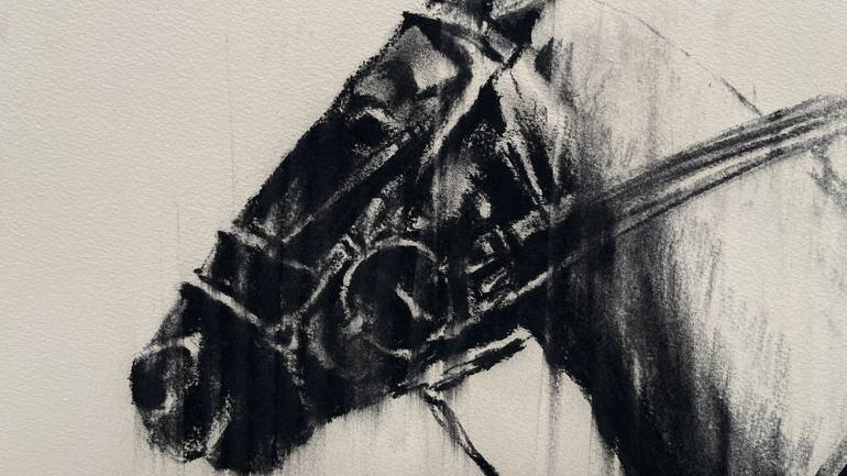Original Horse Drawing by Zil Hoque