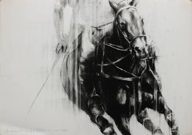 Original Expressionism Horse Drawings by Zil Hoque