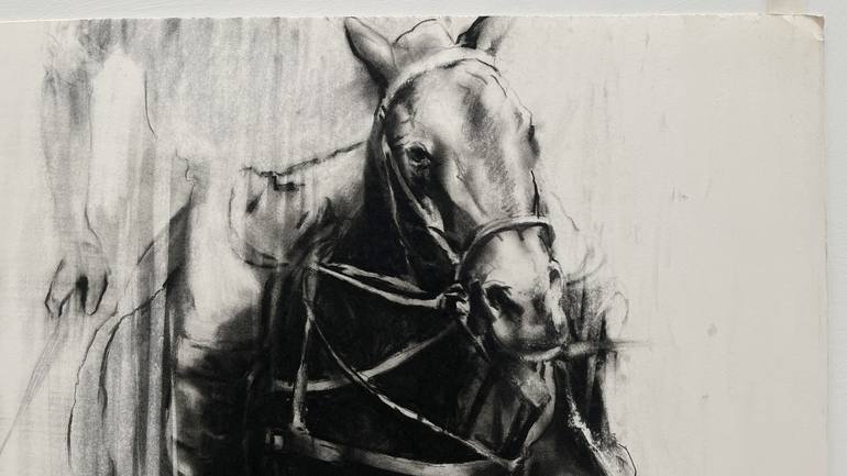 Original Horse Drawing by Zil Hoque