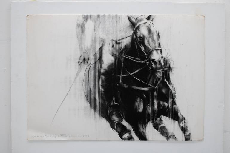 Original Horse Drawing by Zil Hoque