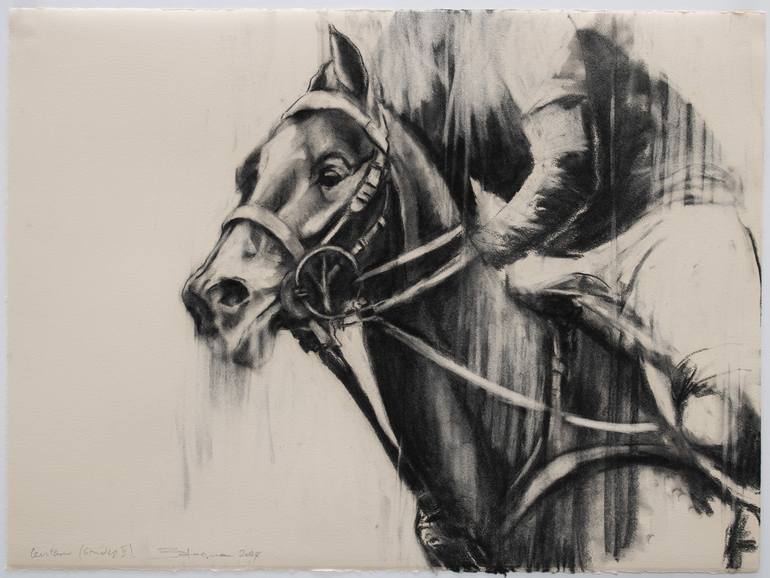 Original Contemporary Horse Drawing by Zil Hoque