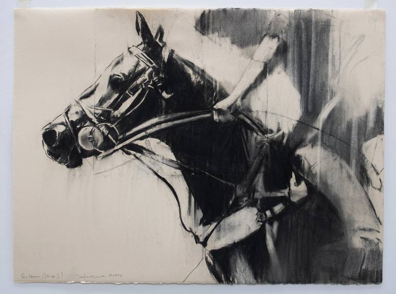 Original Horse Drawing by Zil Hoque