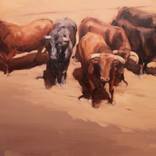 Collection New This Week 12-01-2025