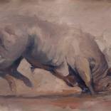Equinox IV (study) by Zil Hoque