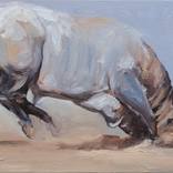 Equinox I (study) by Zil Hoque