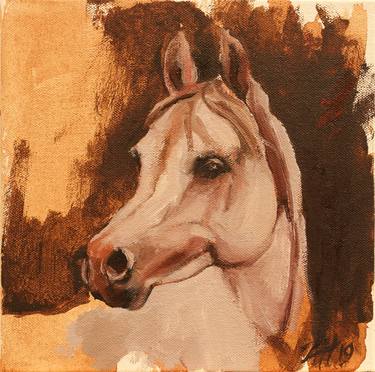 Equine Head Arab White (study 12) thumb