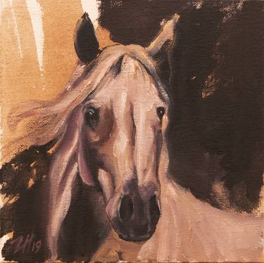 Equine Head Arab White (study 3) thumb